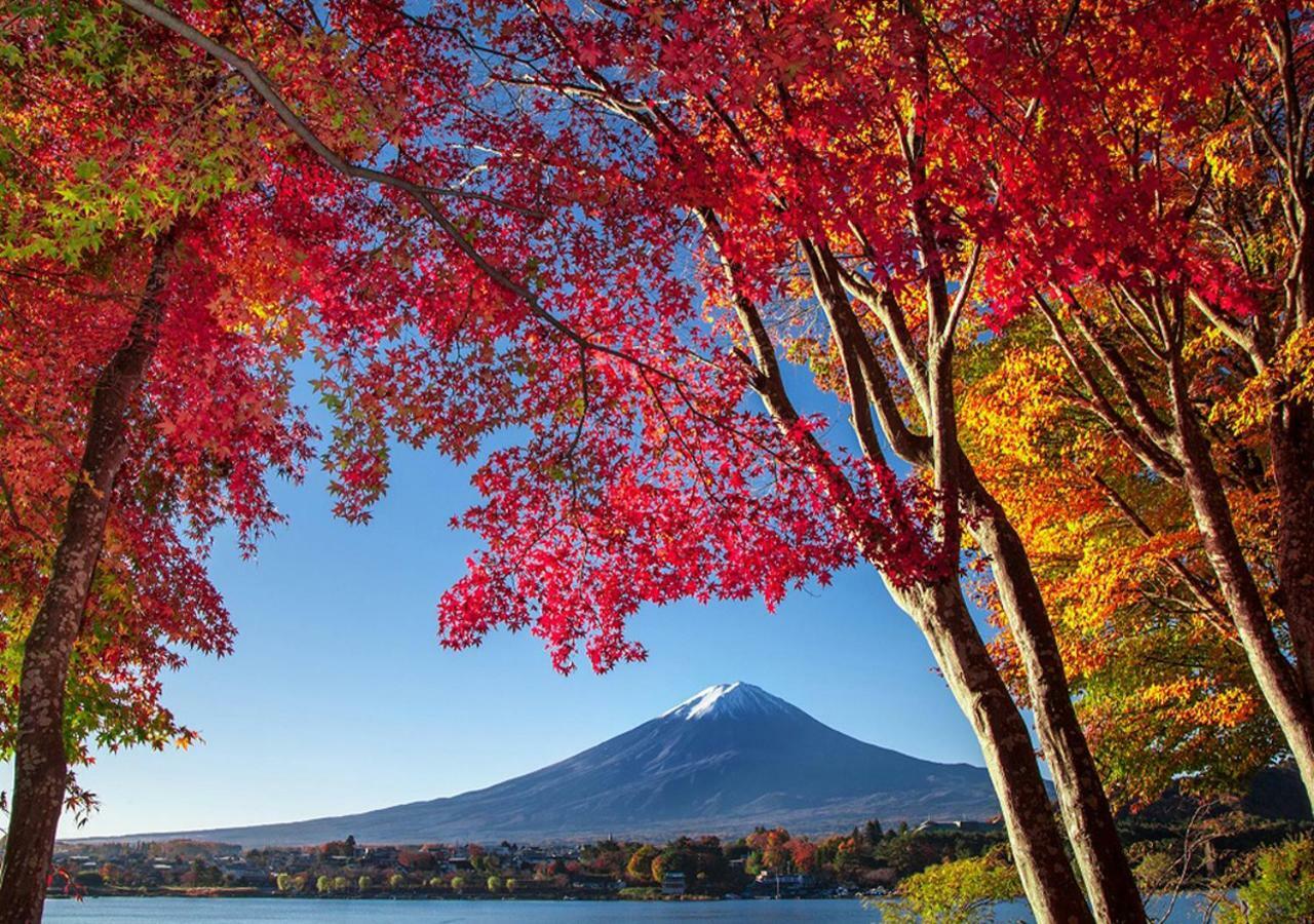 富士山金魚 Fujisan Kingyo Βίλα Fujikawaguchiko Εξωτερικό φωτογραφία